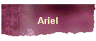 Ariel